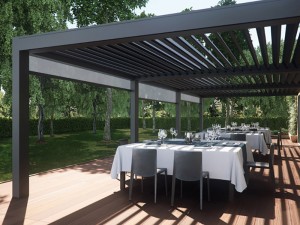 Awning Retractable Aw02