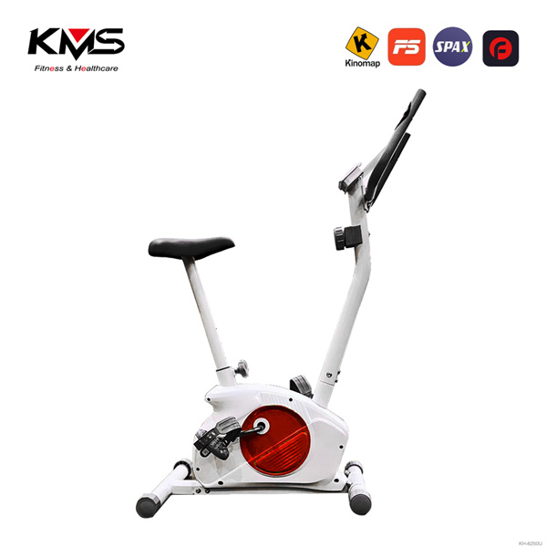 Compact Upright Magnetic Exercise bike