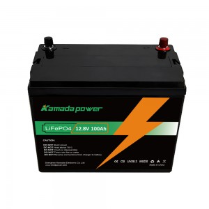 Deep Cycle 6500+ Cycles 12v 100Ah Lifepo4 Batterie