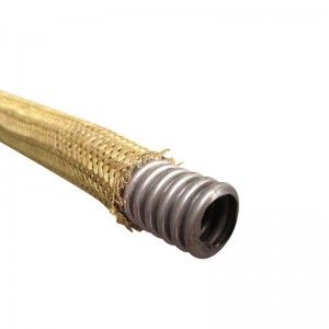 Stainless steel gas hose 2 layers with male fittings