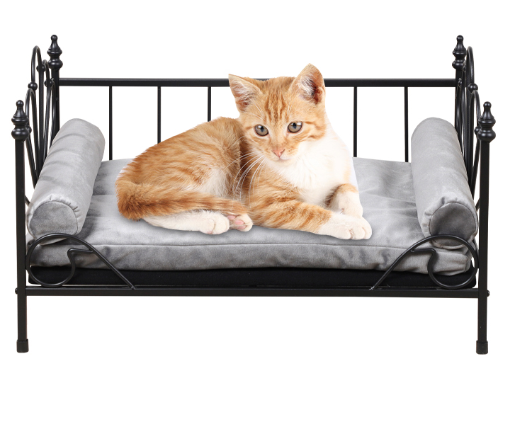 Metal Pet Bed Dog Lounge Sofa with Thick Cushion Featured Image