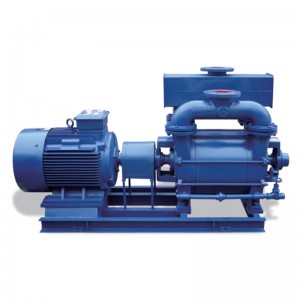China Gold Supplier for Vertical End Suction Centrifugal Pump - 2BEX Series Water Ring Vacuum Pump – KAIQUAN