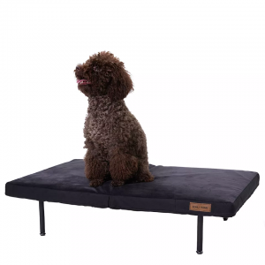 2022 Outdoor Travel Pet Camp Bed Steel Support Removable Mesh Dog Bed