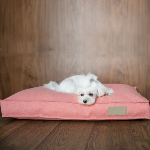 Memory Foam Orthopedic Dog Bed with Removable Cover