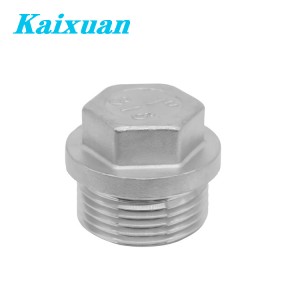 Stainless Steel Hex Plug with Flange