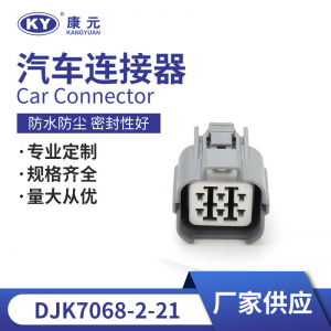 6189-0133 for automotive glass elevator motor plug, connector DJK7068-2-21