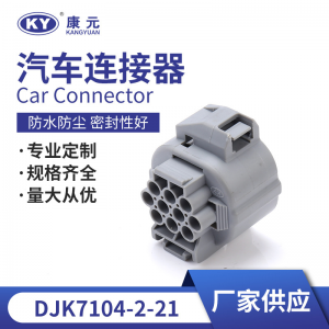 6189-0135/10P for automotive waterproof connectors, automotive plug-in DJK7104-2-21