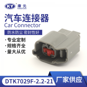 DJK7029F-2.2-21  Suitable for automotive connectors, connectors, wire harness plug 2p