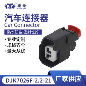 34675-0001 for automotive connectors, waterproof connectors, Plug DJK7026F-2.2-21