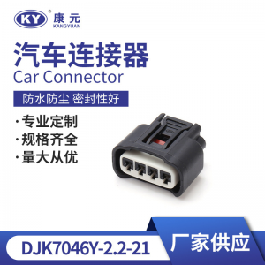 11885 for automotive ignition coil plug, plug-in DJK7046Y-2.2-21