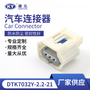 7283-8977 is suitable for automobile steering engine booster pump plug, Connector DJK7032Y-2.2-21