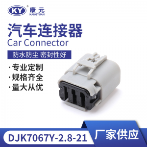 7122-1864-40 for automotive throttle motor plug, Connector DJK7067Y-2.8-21