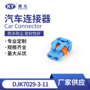 DJ7029-3-21 automotive waterproof connector, harness plug, car connector 2p