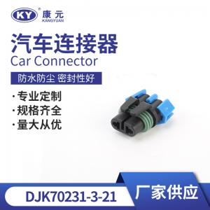 2P for automotive waterproof connectors, automotive connectors, plug DJK70231-3-21