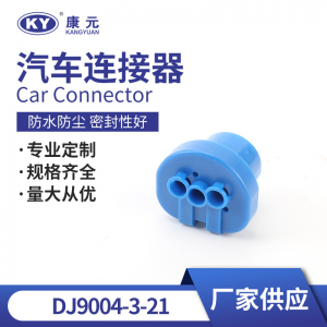 12048369/2048371 for automotive light bulb plugs, connectors DJ9004-3-21