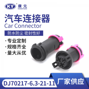 813972926/813972923 for automotive fog lamp plug DJ70217-6.3-21-11