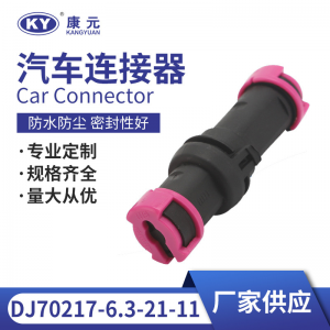 813972926/813972923 for automotive fog lamp plug DJ70217-6.3-21-11