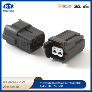 6195-0043 for automotive fuel injection plug, automotive plug DJF70214-2.2-21