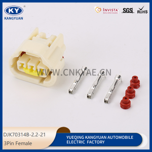 Automotive waterproof connectors, automotive connectors, harness plug- DJK70314B-2.2-21