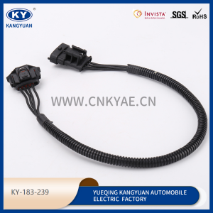 Automotive waterproof connectors, wire harness series, wire harness plug-KY-183-239