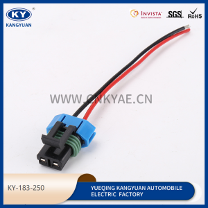 Automotive waterproof connectors, wire harness series, wire harness plug-KY-183-250