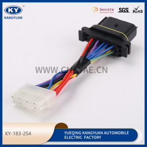 Automotive waterproof connectors, wire harness series, wire harness plug-KY-183-254