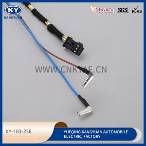Automotive waterproof connectors, wire harness series, wire harness plug-KY-183-258