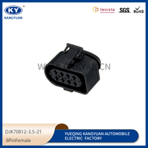3A0973834/3A0973734 automotive connector plug-in DJK70812-3.5-21-11