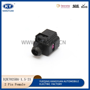 8K0 973 702 Female IAT OAT Outdoor Temperature Sensor 2 Pin Connector for ABS VW Audi