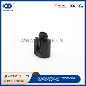 DJK70218Y-3.5-21 automotive connectors 2p car plug 2 hole blue core harness plug 1685452