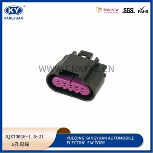 13519051/13519053 Buick lacrosse rear light circuit board plug 5p Condor connector