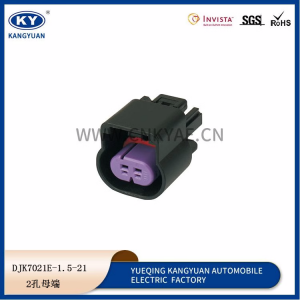 15326801/15326806 gasoline pump fuel pump plug 2p hole Delphi connector with harness waterproof