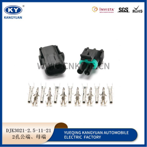 12015792 solenoid plug 2p hole Delphi Connector 12010973 automotive waterproof plug harness