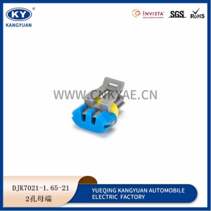 DJK7021-1.65-21-11 electric jet valve plug, domestic 12162343/12052644