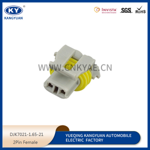 DJK7021-1.65-21-11 electric jet valve plug, domestic 12162343/12052644