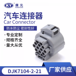 6189-0135/10P for automotive waterproof connectors, automotive plug-in