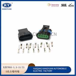 12162825 suitable for Weichai natural gas ignition plug plug DJK7055-1.5-21-11
