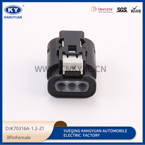 DJK70316A-1.2-21 Automotive connector wiring harness plug waterproof connector shell
