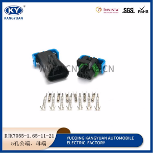 Automotive waterproof connector plug, automotive harness plug DJK7055-1.5-11/21