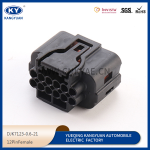 HP285-12021 domestic automobile connector DJK7123-0.6-21