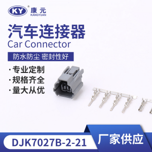 6189-0129 Auto waterproof 2Pin car central door locking system actuator motor connector for Honda