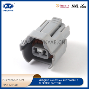 15316989/PA847-02127/6189-0670 fuel injector connector 2Pin Female Waterproof auto electronic connector