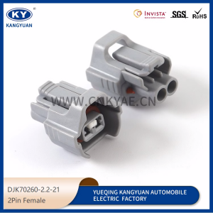 15316989/PA847-02127/6189-0670 fuel injector connector 2Pin Female Waterproof auto electronic connector