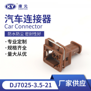 240PC02S1001 automotive harness connector plug 2P automotive connectors DJ7025-3.5-21