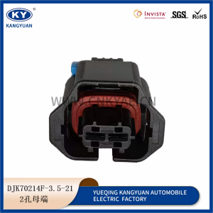 15397337 Buick Chevrolet direction machine solenoid valve plug 2p hole Delphi connector