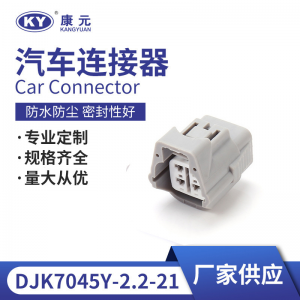 6189-0126 for automotive connectors, harness plug DJK7045Y-2.2-21