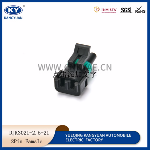 12015792 solenoid plug 2p hole Delphi Connector 12010973 automotive waterproof plug harness