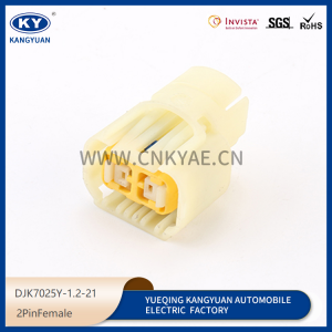 7287-5290 fog lamp harness connector plug DJK7025Y-1.2-21