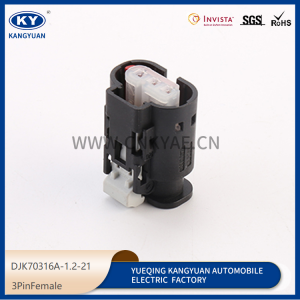 Automotive Connector harness plug waterproof connector shell DJK70316A-1.2-21