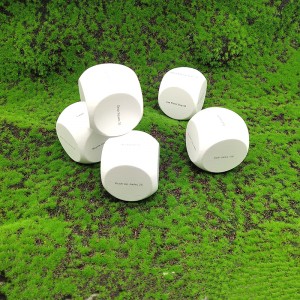 Wholesale Price Meeple Manufacturer - hiit dices game – Kylin